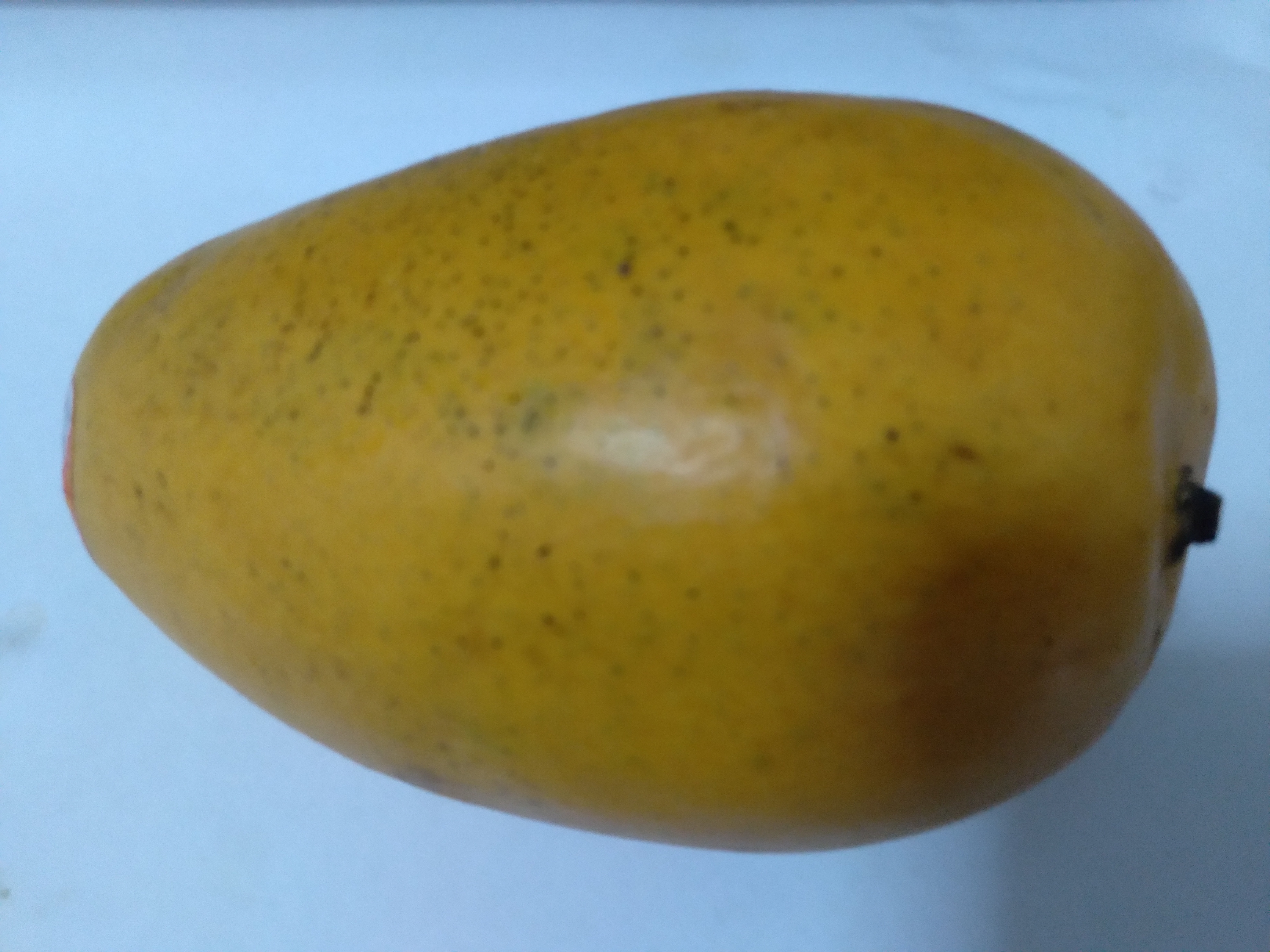 Families support the alien.